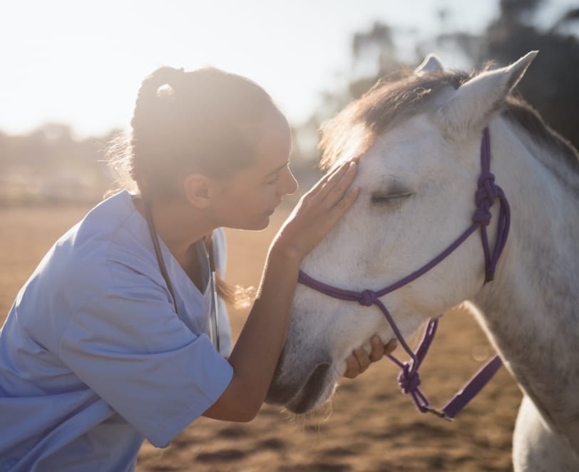 animal health img 1